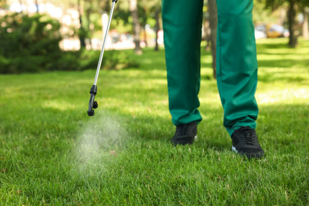 Best Mosquito Control Services  in Hamlet, NC