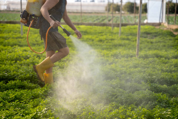 Best Affordable Pest Control Services  in Hamlet, NC