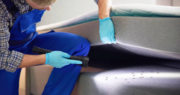 Best Residential Pest Control  in Hamlet, NC