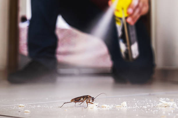 Best Affordable Pest Control Services  in Hamlet, NC