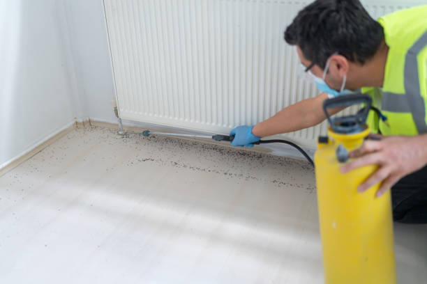 Best Residential Pest Control  in Hamlet, NC