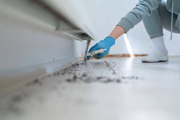 Best Wildlife Control Services  in Hamlet, NC